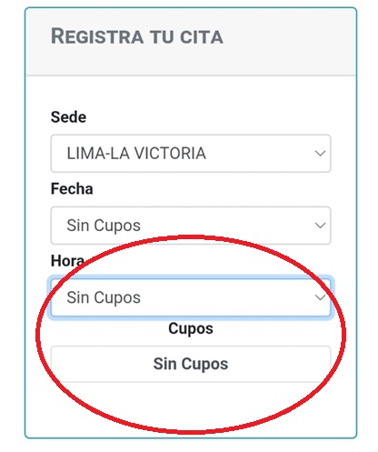 No hay citas disponibles en la web oficial de la PNP para sacar permiso de lunas polarizadas